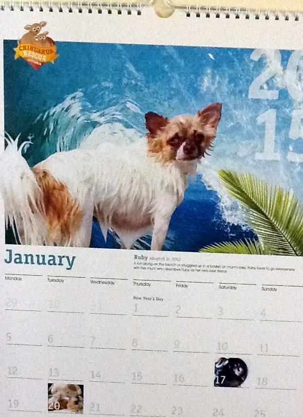 January page of calendar