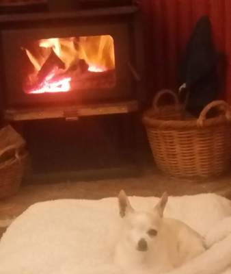 Kangaroo Valley cabin holiday with Mum. I'm by the fire watching Bold and the Beautiful. Life is good.