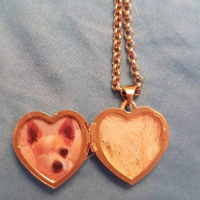 Inside of the locket to remember Nelson, containing some of his fur and ashes (Thursday, 23rd of March 2017).