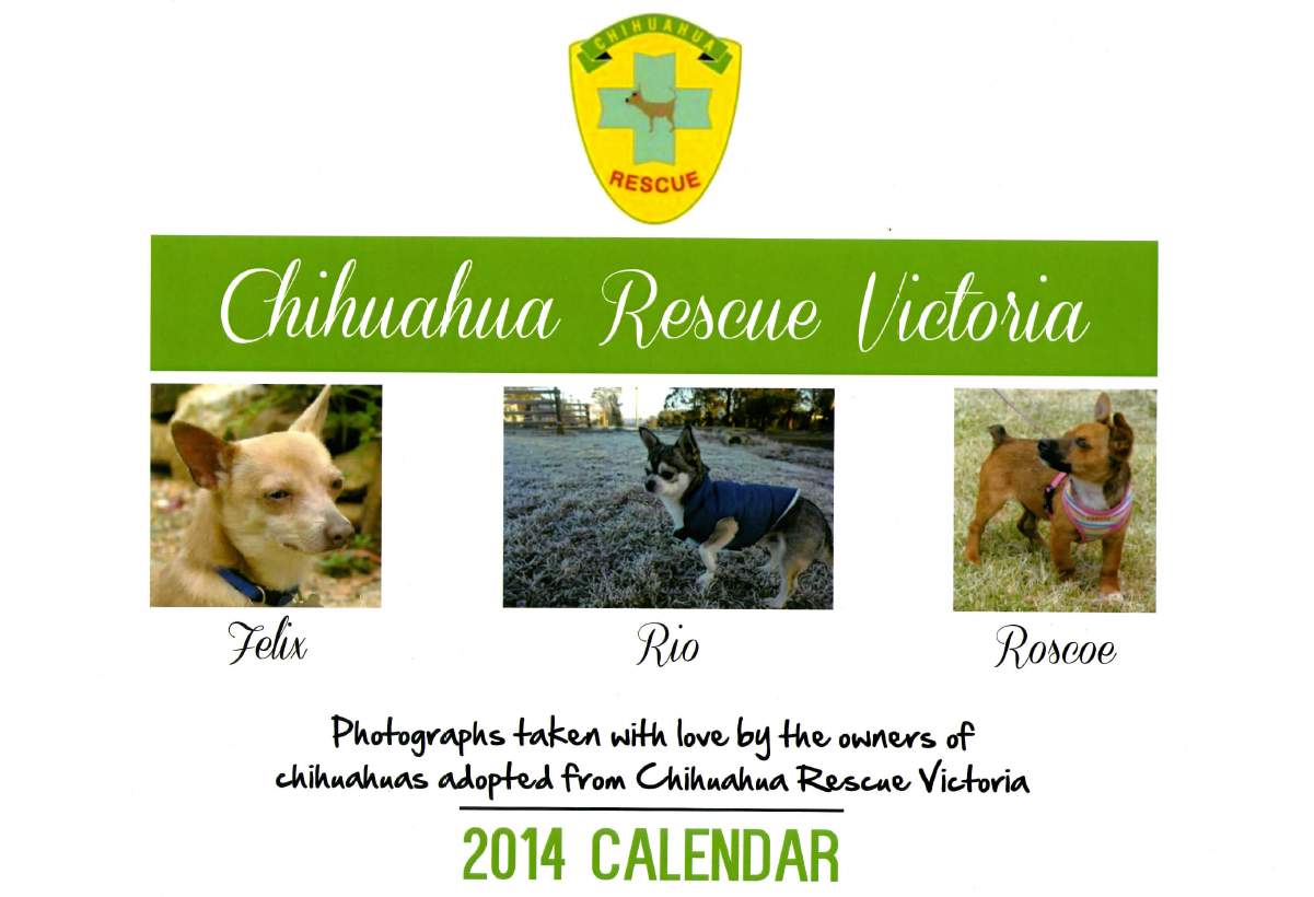 Front page of the Chihuahua Rescue Victoria 2014 Calendar.