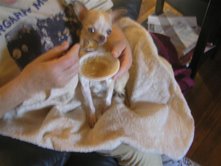 This was when she started to eat from a teaspoon, look at the fighting spirit in those eyes!