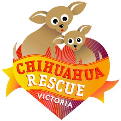 Our Chihuahua Rescue Victoria logo represents the journey a rescued Chihuahua will take to their new forever home.